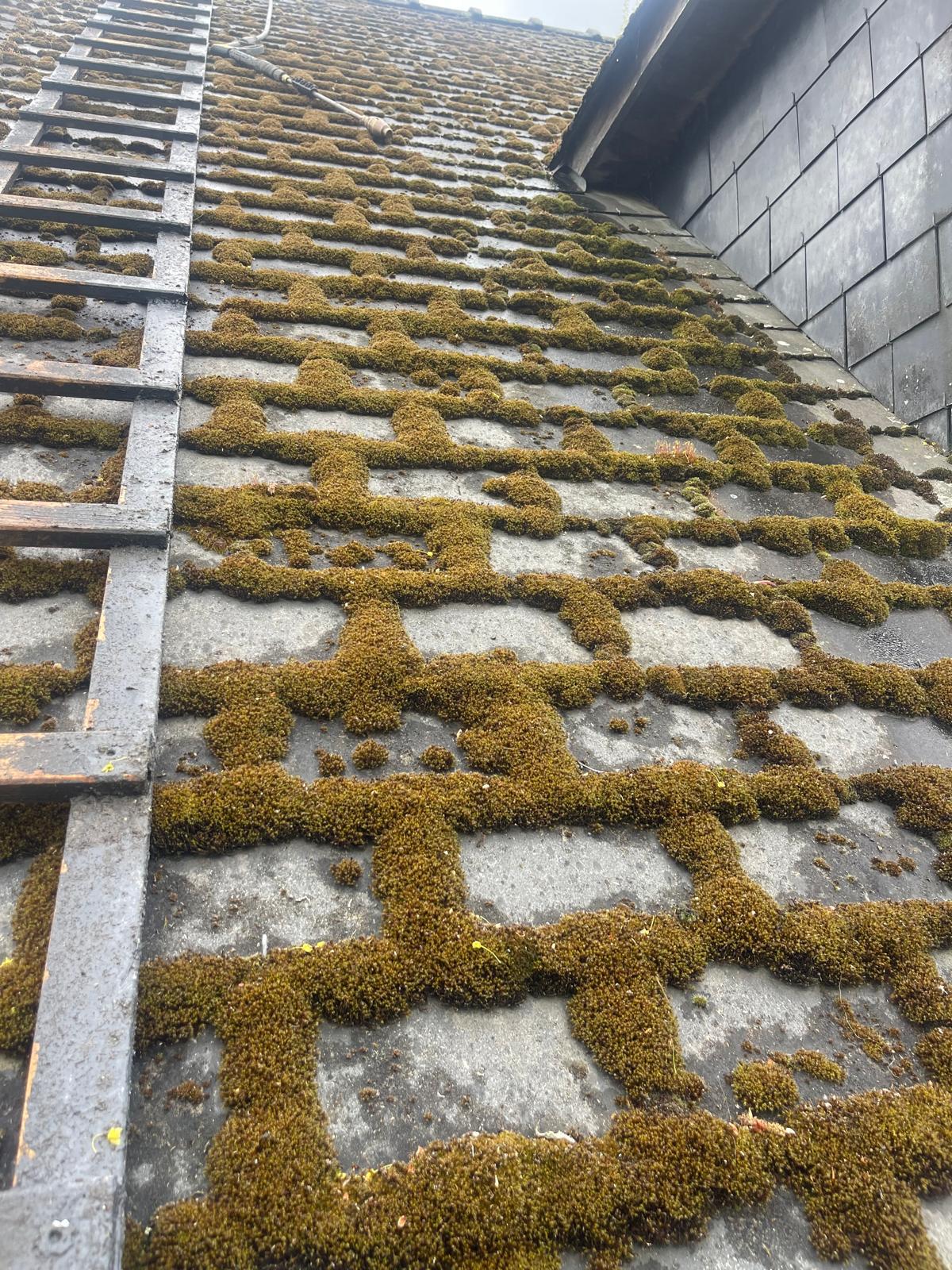 Rénovation effectué par RenvoAtHome